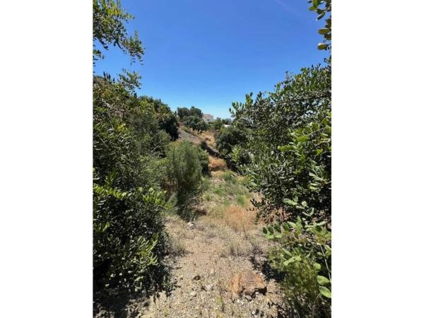 Terreno en calle Monterroso