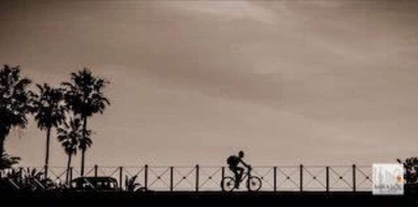 Terreno en calle Juan de Herrera