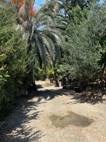 Terreno en Polígono 16 Parcela 138 s/n