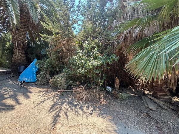 Terreno en Polígono 16 Parcela 138 s/n