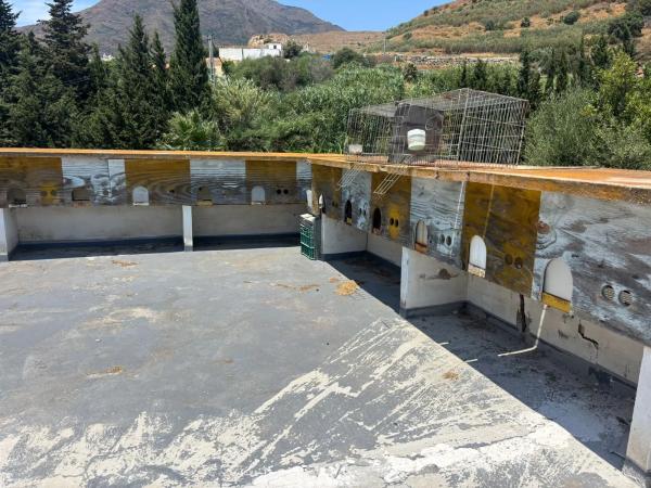 Terreno en Polígono 16 Parcela 138 s/n