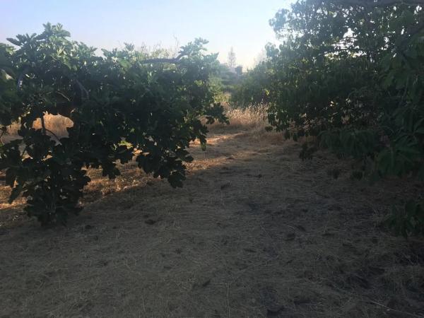 Terreno en Barrio Los Llanos