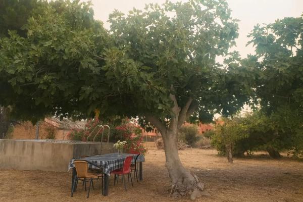 Terreno en calle Casas del Padrón