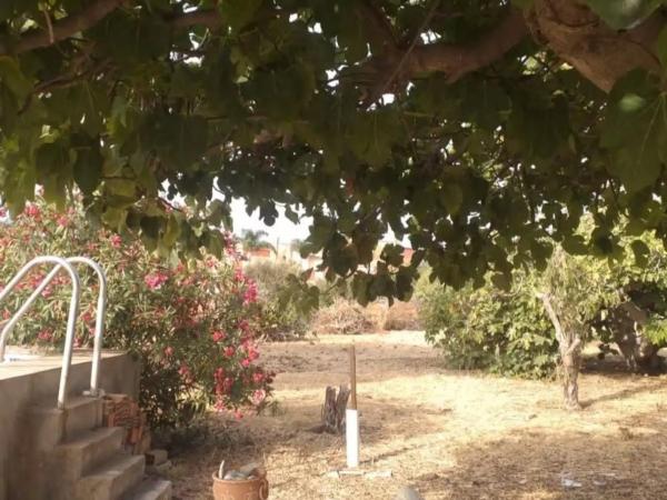 Terreno en calle Casas del Padrón