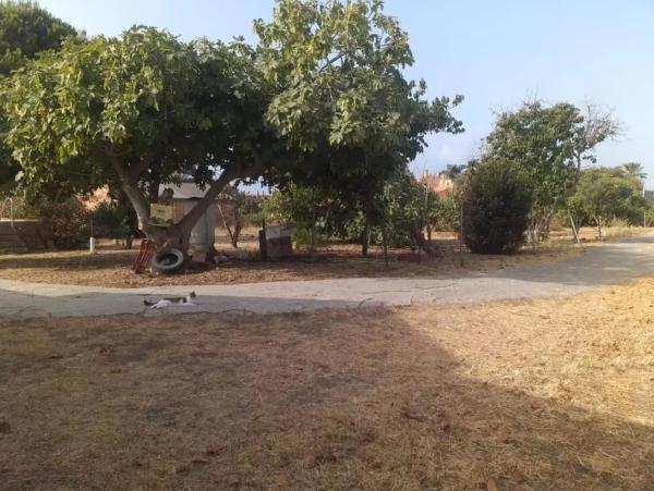Terreno en calle Casas del Padrón