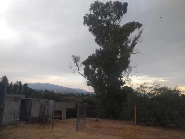 Terreno en calle Casas del Padrón