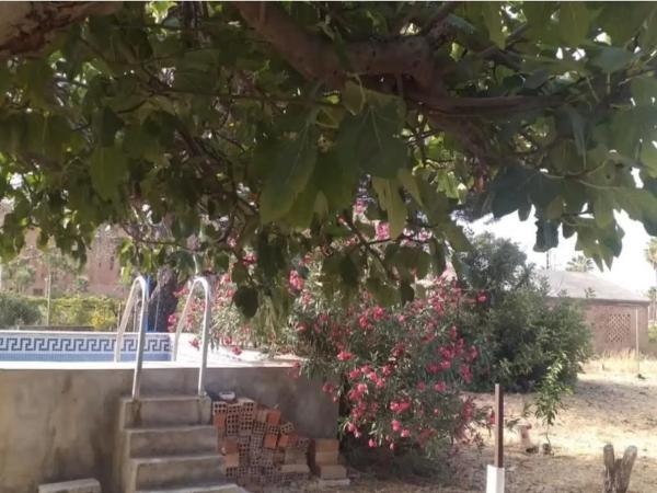 Terreno en calle Casas del Padrón