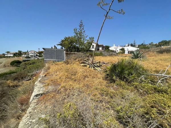 Terreno en calle del Pinsapo, 36