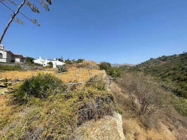 Terreno en calle del Pinsapo, 36