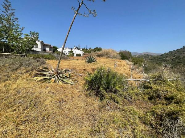 Terreno en calle del Pinsapo, 36