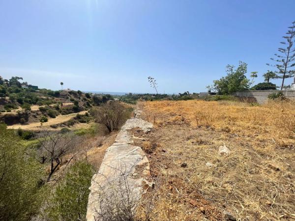 Terreno en calle del Pinsapo, 36