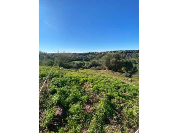 Terreno en calle del Alcornoque, 2 -102