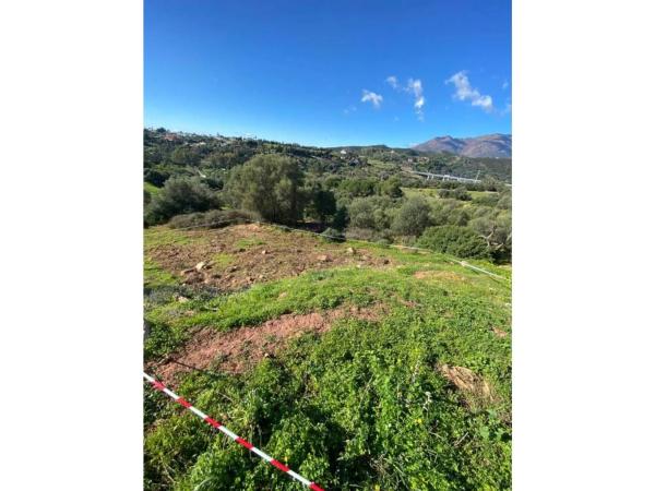 Terreno en calle del Alcornoque, 2 -102