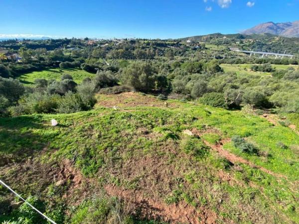 Terreno en calle del Alcornoque, 2 -102