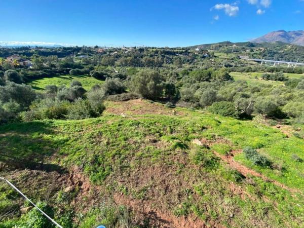 Terreno en calle del Alcornoque, 2 -102