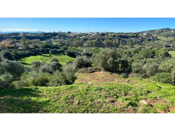 Terreno en calle del Alcornoque, 2 -102