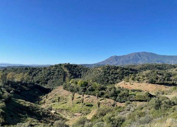 Terreno en Barrio La Concha-Resina Golf