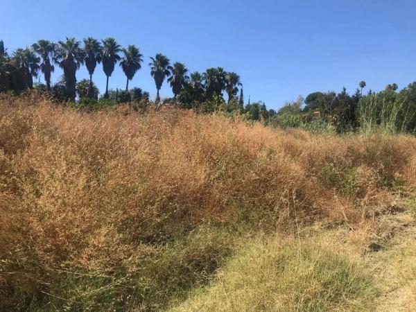 Terreno en camino Nicola