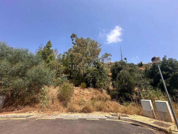 Terreno en calle los Almendros, 23