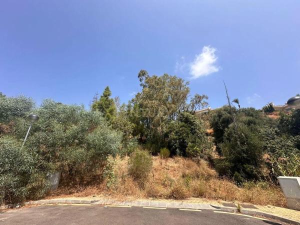 Terreno en calle los Almendros, 23