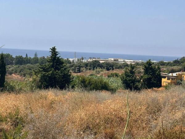 Terreno en calle los Almendros, 23