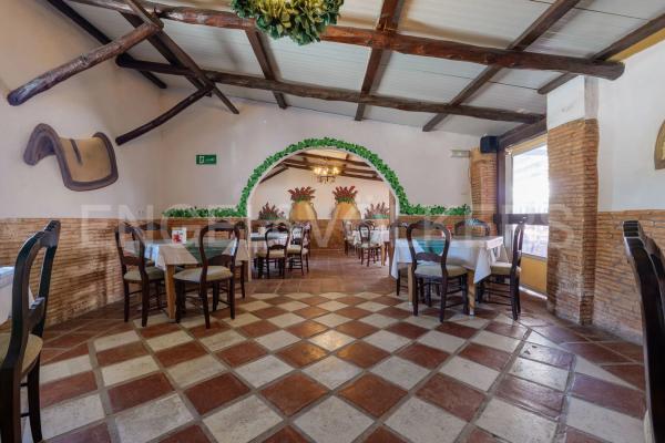 Terreno en avenida Parque Selwo