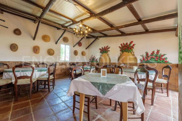 Terreno en avenida Parque Selwo