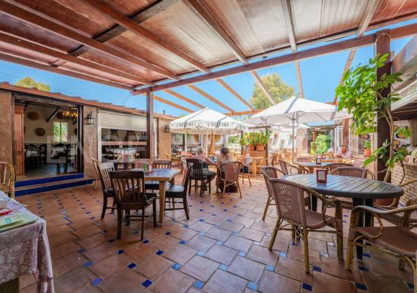 Terreno en avenida Parque Selwo