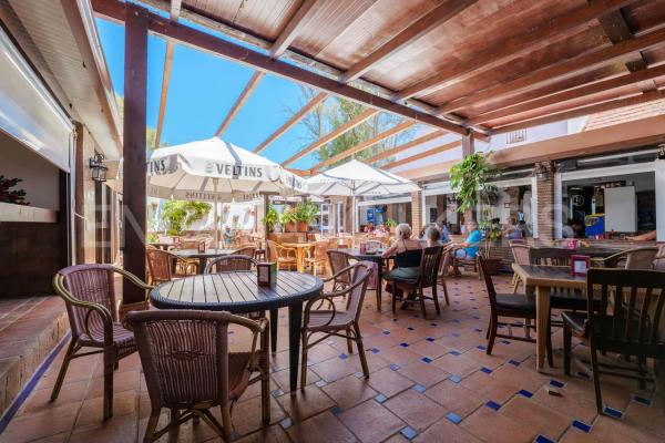 Terreno en avenida Parque Selwo