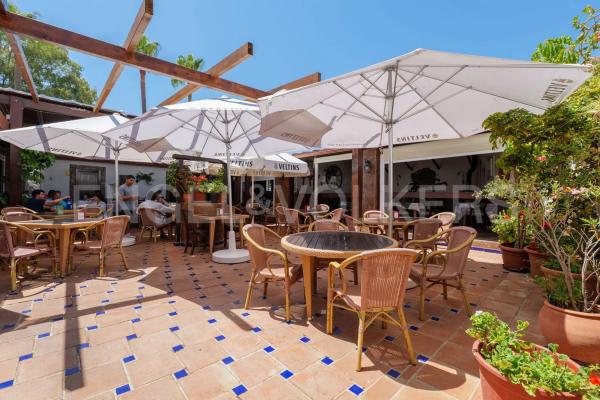 Terreno en avenida Parque Selwo