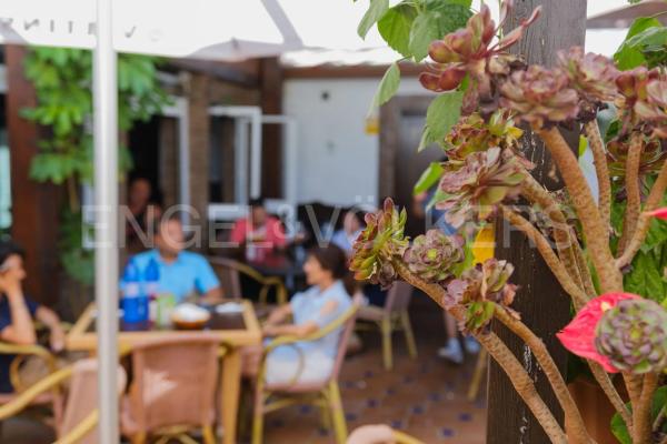 Terreno en avenida Parque Selwo