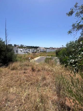 Terreno en Arroyo las Cañas s/n