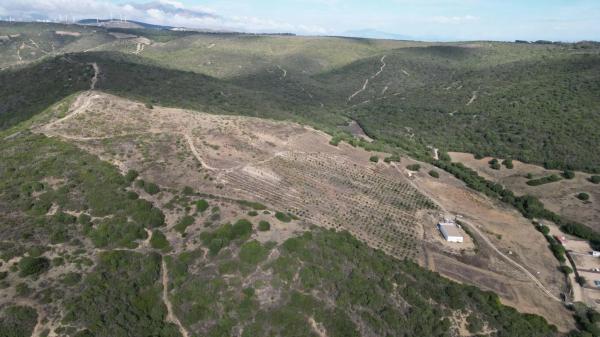 Terreno en calle Mar