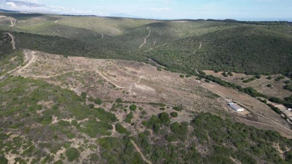 Terreno en calle Mar