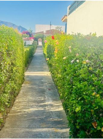 Terreno en calle Goteborg, 281