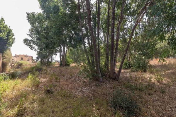 Terreno en San Luis de Sabinillas