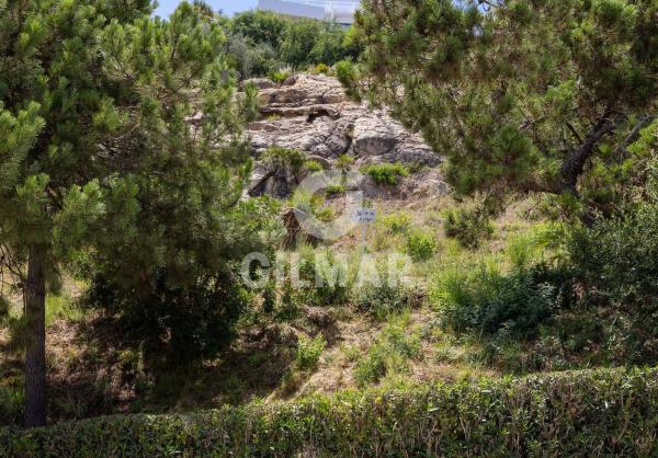 Terreno en calle Tubalitas