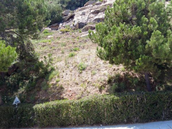 Terreno en calle Tubalitas