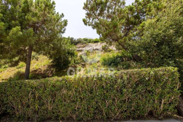 Terreno en calle Tubalitas