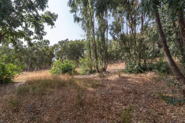 Terreno en San Luis de Sabinillas