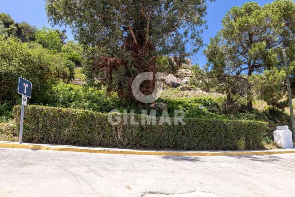 Terreno en calle Tubalitas