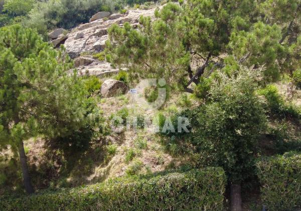 Terreno en calle Tubalitas