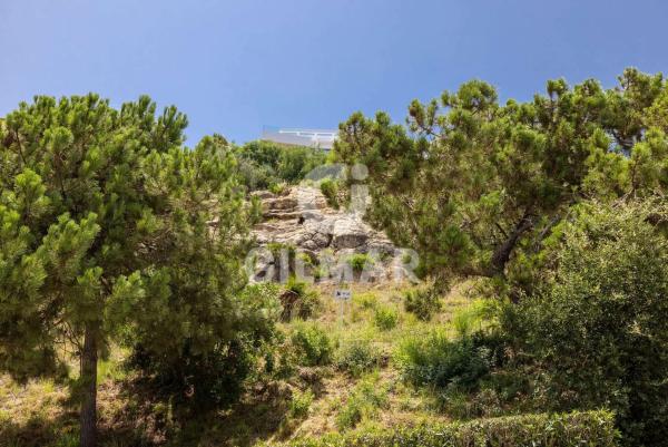 Terreno en calle Tubalitas