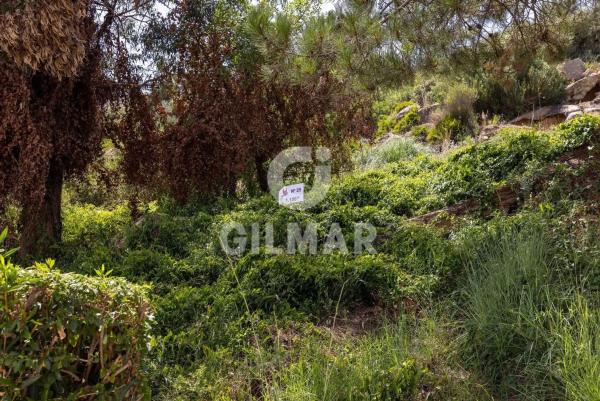 Terreno en calle Tubalitas