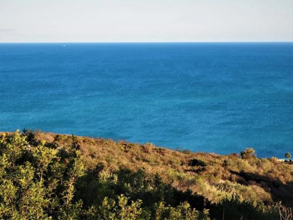 Terreno en calle Tubalitas