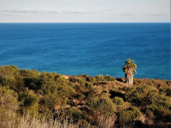 Terreno en calle Tubalitas