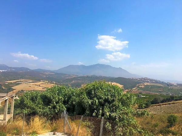 Terreno en calle Cruces