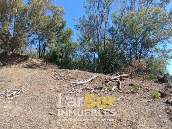 Terreno en calle Torcal, 30