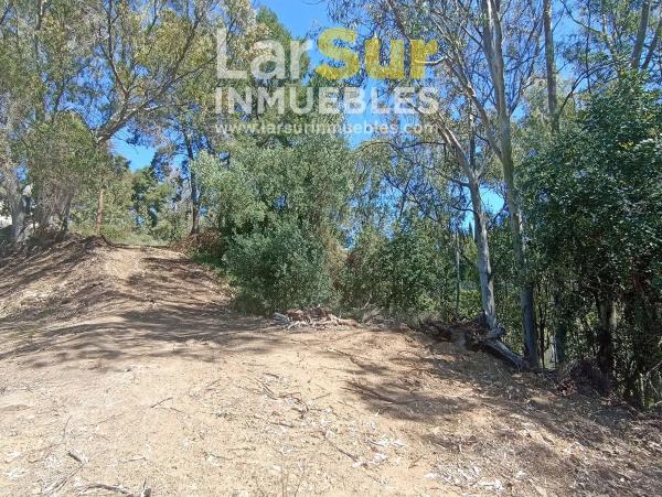 Terreno en calle Torcal, 30