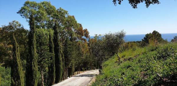 Terreno en Parcela 24 s/n